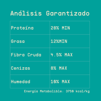 Alimento hipoalergénico para perros | Circular Pet® proteína de insectos