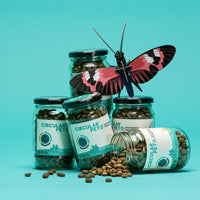 Muestra Alimento Adulto Toda Raza Proteína Insectos