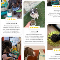 Alimento hipoalergénico para perros | Circular Pet® proteína de insectos