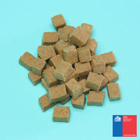 Snack Perro Proteína Insectos 120g