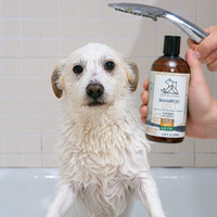 EcoAustralis - Shampoo hipoalergénico natural Quillay Matico Aloe 350 ml