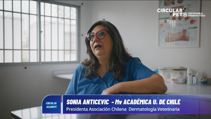 Alergia en mascotas ¿Qué hacer? 🐛🐶| Entrevista Dra. Sonia Anticevic | Dermatología Favet U. de Chile
