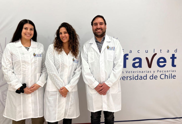 En prensa: investigadores sugieren incorporar insectos en la dieta felina – Cooperativa