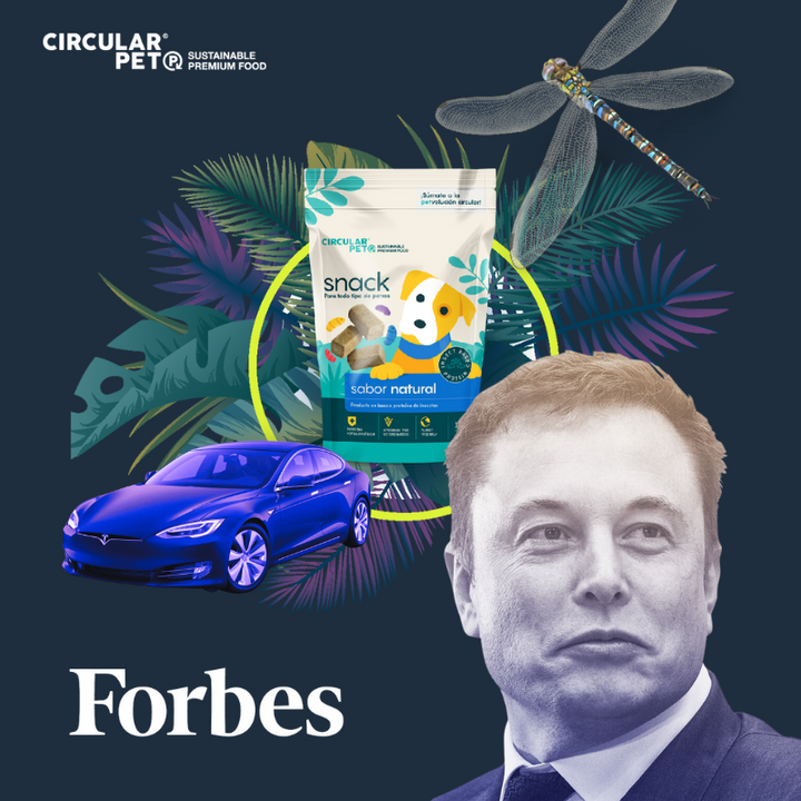 FORBES : Esta startup chilena se autodenomina como “la Tesla en nutrición para mascotas” y hace productos con proteína de insectos