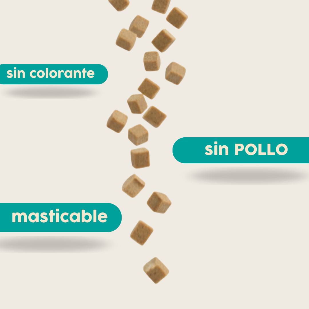 Snack Perro Proteína Insectos 120g