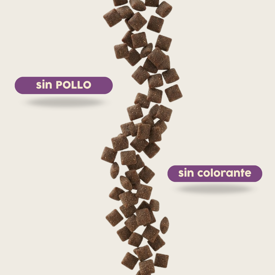 Alimento hipoalergénico para GATOS | Circular Pet® proteína de insectos