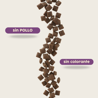 Alimento hipoalergénico para GATOS | Circular Pet® proteína de insectos