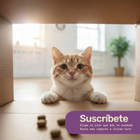 Alimento hipoalergénico para GATOS | Circular Pet® proteína de insectos