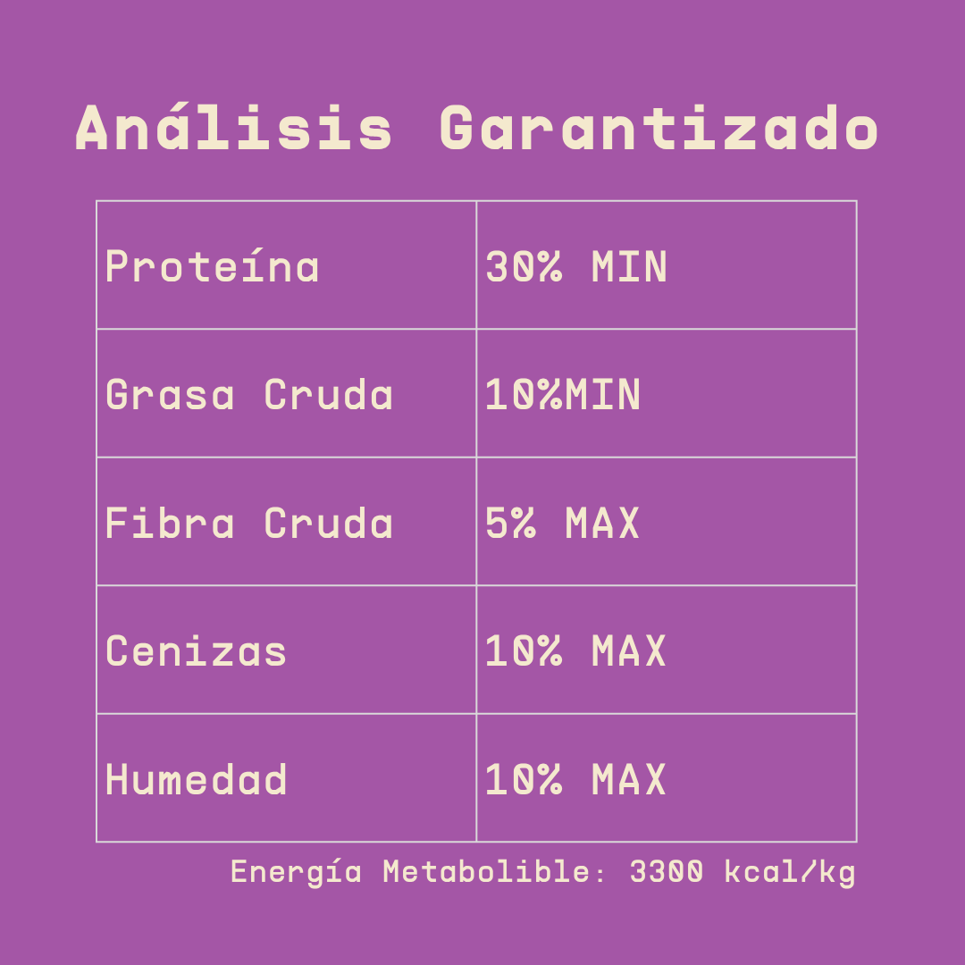 Alimento hipoalergénico para GATOS | Circular Pet® proteína de insectos