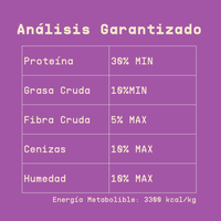 Alimento hipoalergénico para GATOS | Circular Pet® proteína de insectos