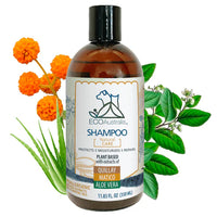 EcoAustralis - Shampoo hipoalergénico natural Quillay Matico Aloe 350 ml