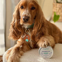 FreeMet - Shampoo sólido piel sensible perros 80g