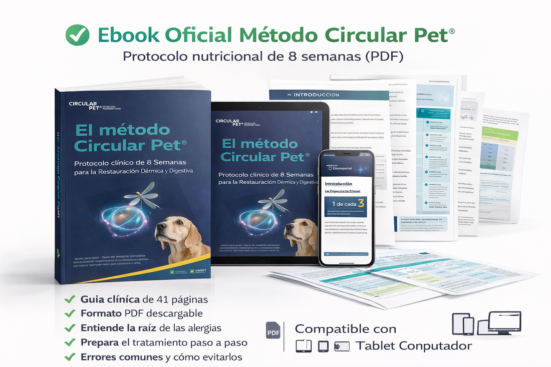 Alimento hipoalergénico para perros | Circular Pet® proteína de insectos