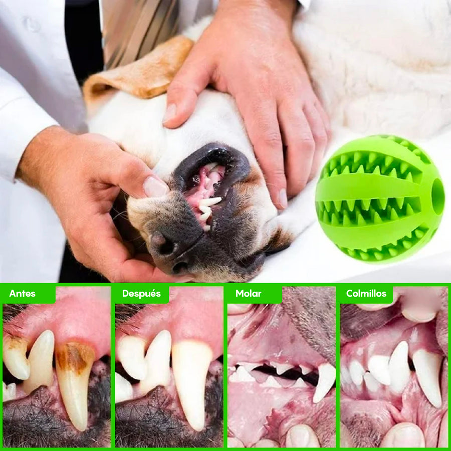 Circular Boongy® Cuidado Dental
