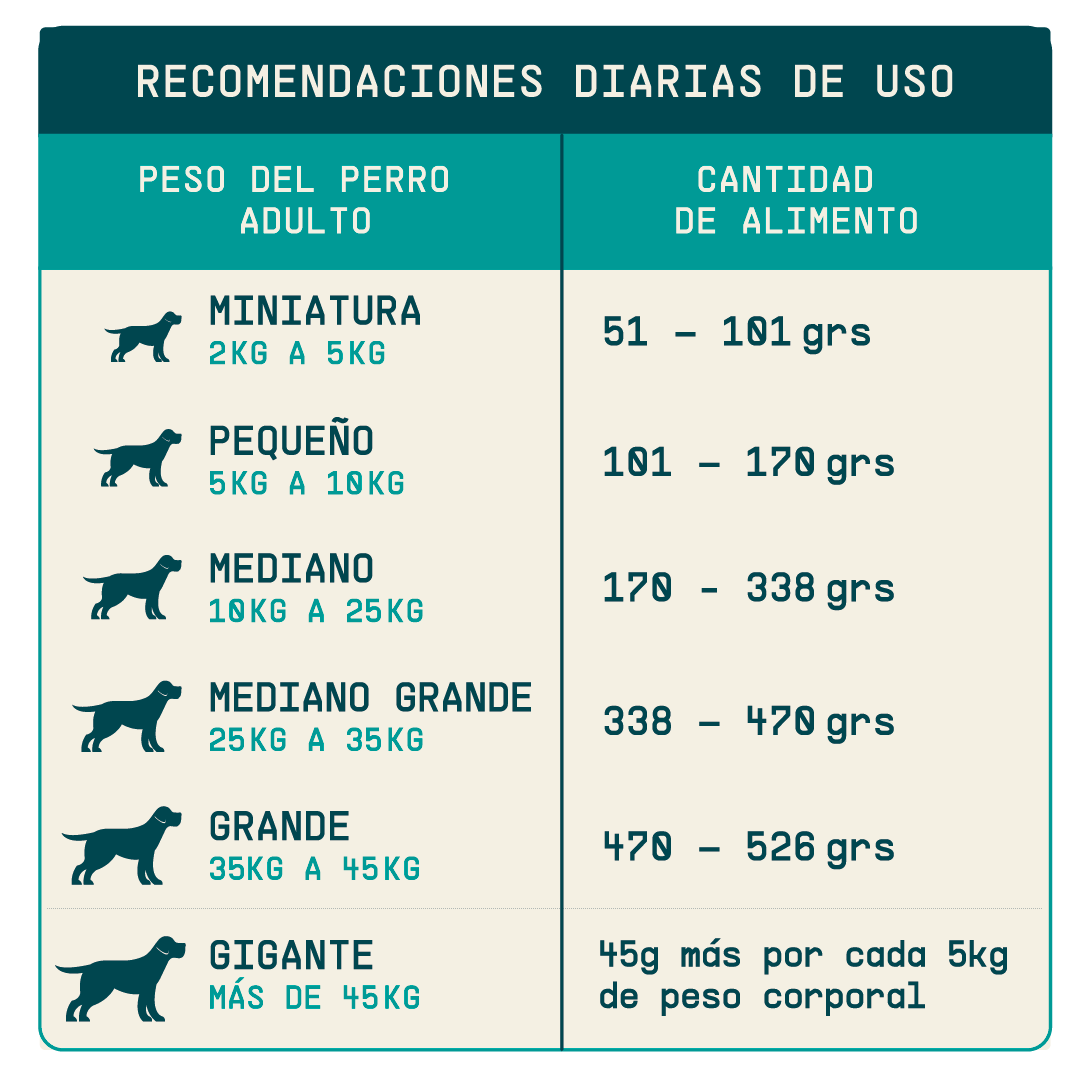 Alimento hipoalergénico para perros | Circular Pet® proteína de insectos