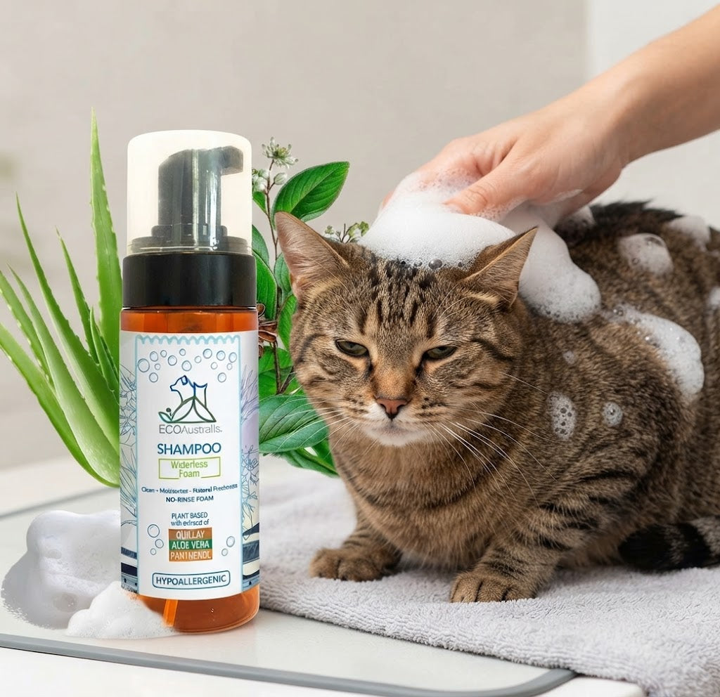 EcoAustralis GATO - Shampoo SIN enjuague · Quillay, Aloe Vera & Pantenol 160 ml