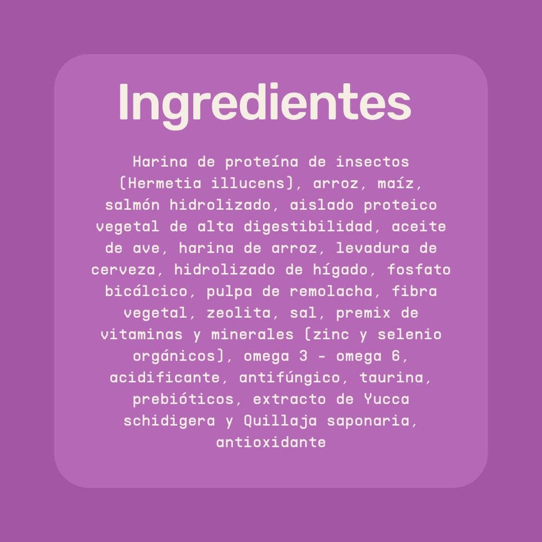 Alimento hipoalergénico para GATOS | Circular Pet® proteína de insectos