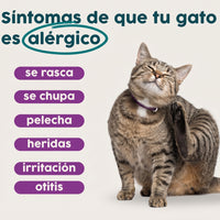 Alimento hipoalergénico para GATOS | Circular Pet® proteína de insectos