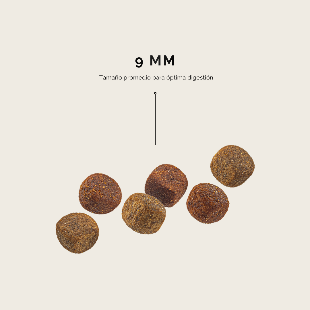 Alimento hipoalergénico para perros | Circular Pet® proteína de insectos