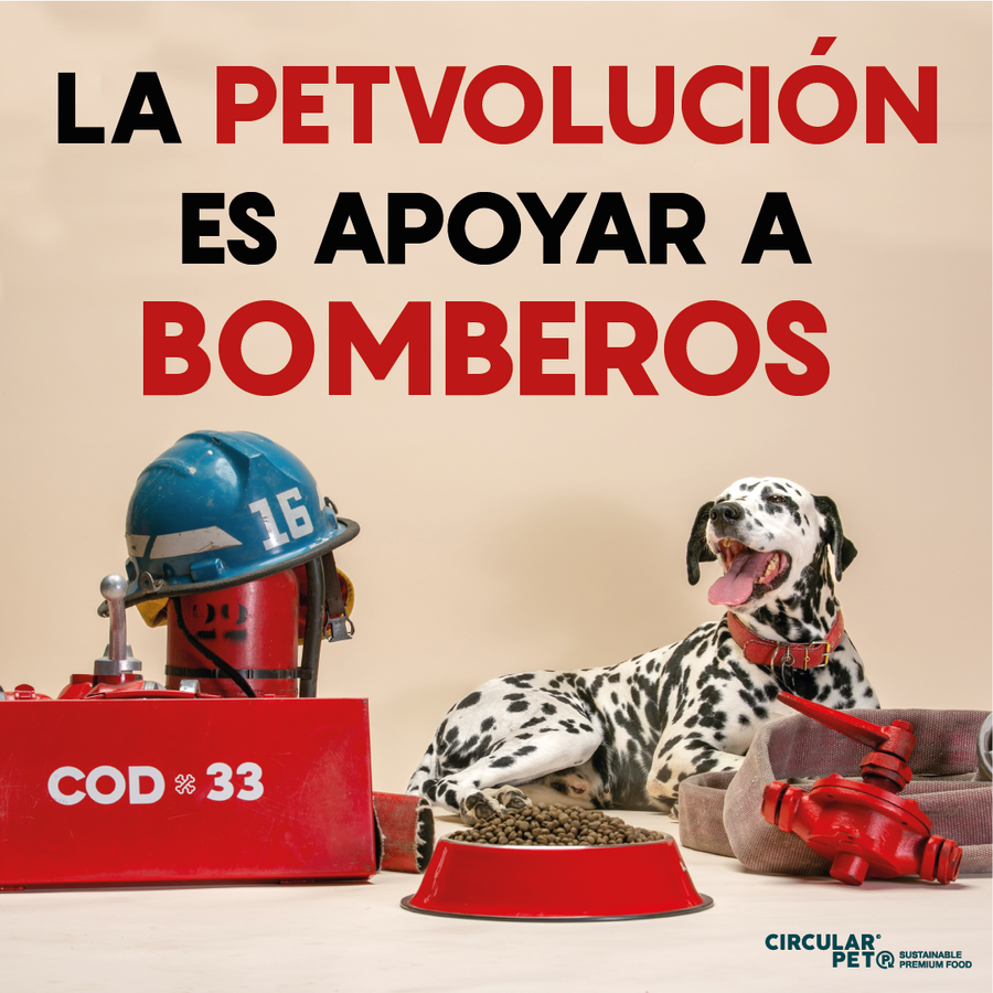 Collar Perro COD33 Talla L