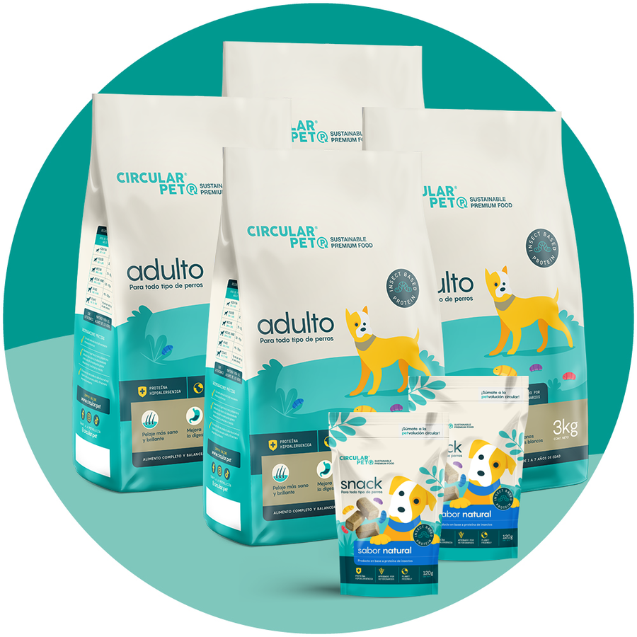 SUSCRIPCIÓN MENSUAL 12 KILOS Incluye 12kg de alimento Adulto + 2 Snack + Despacho gratis
