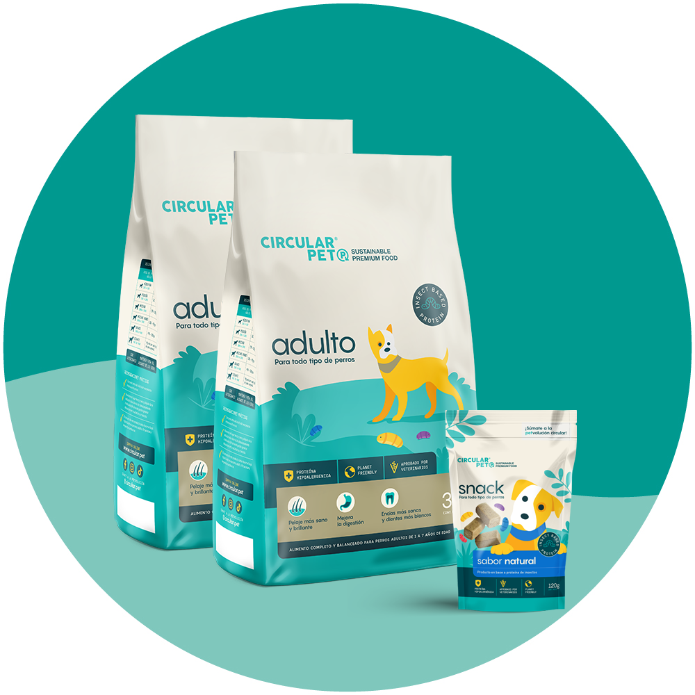 SUSCRIPCIÓN MENSUAL 6 KILOS Incluye 6 kg de alimento Adulto + 1 Snack + Despacho gratis