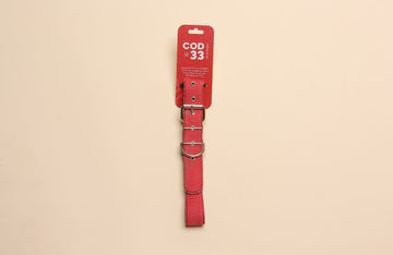 Collar Perro COD33 Talla S